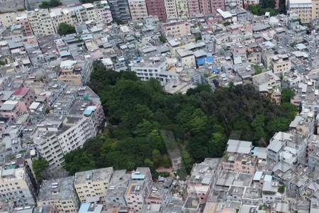 岑村在广州哪个区