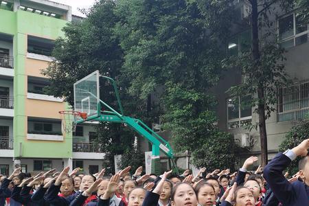 双流实验小学官网