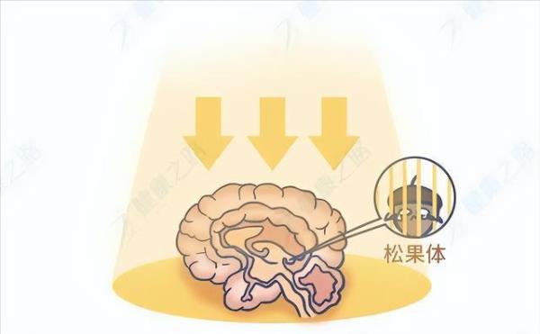 刺激松果体最好的方法