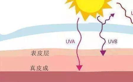 太阳紫外线是长波还是短波