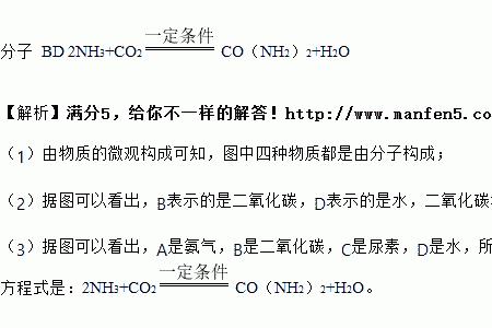 合成尿素的化学方程式