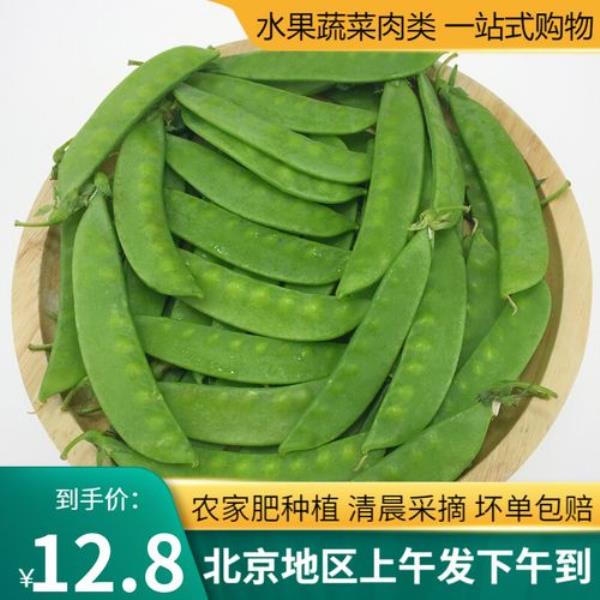 荷兰豆是四季豆吗