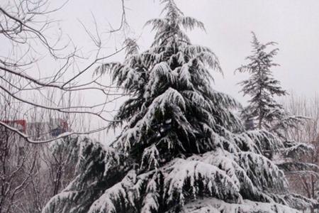 关于下雪的撩人的情话