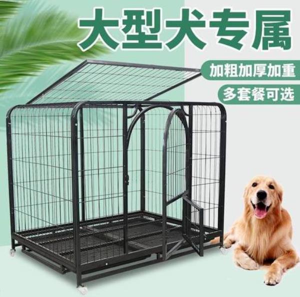 贵宾犬适合关笼子吗