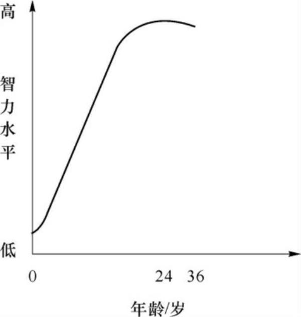 个体差异是什么意思