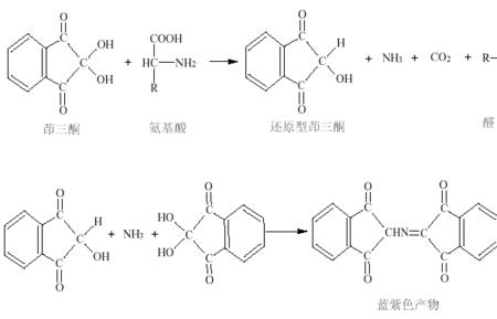 茚三酮为什么叫三酮