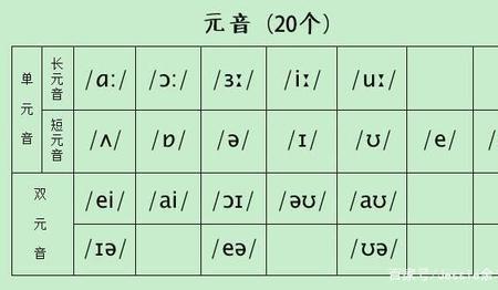 abbreviate音节如何划分