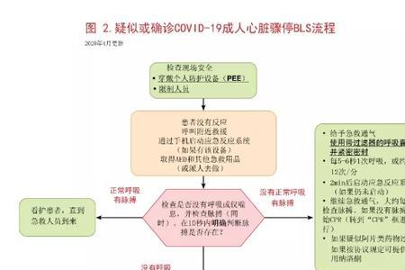 高级生命支持的流程