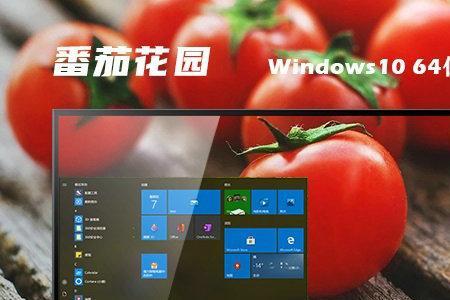 双核电脑能运行win10吗