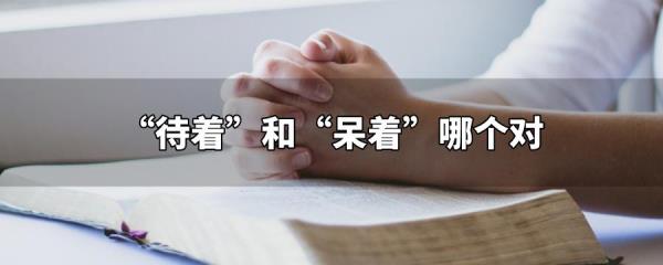 形容呆子的诗句