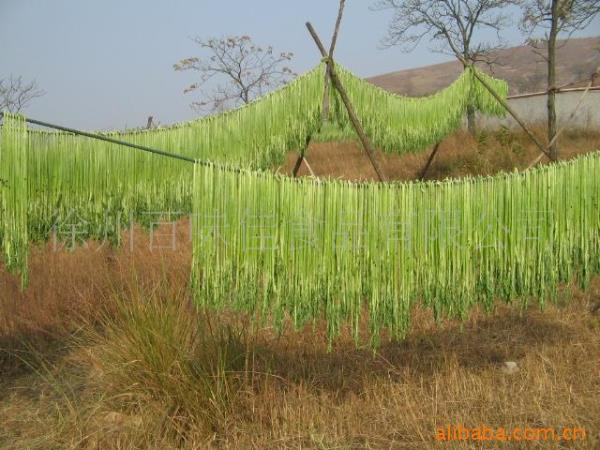 贡菜种子几月播种