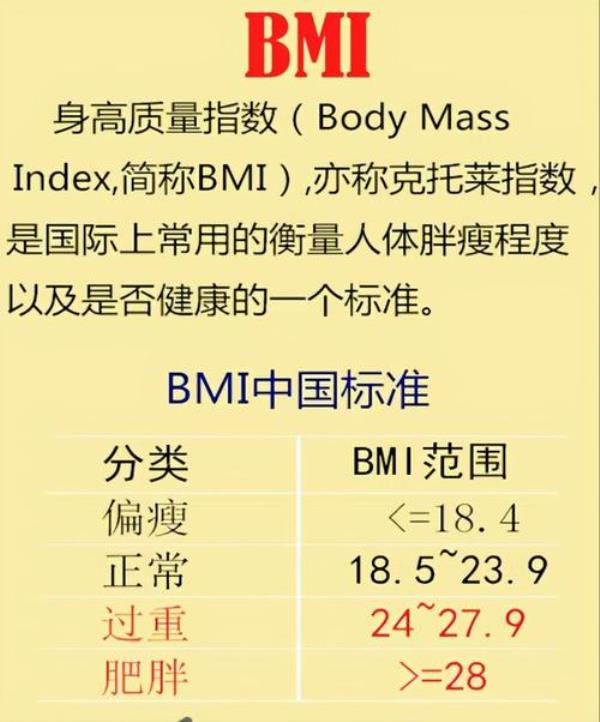 体检报告bmi怎么写