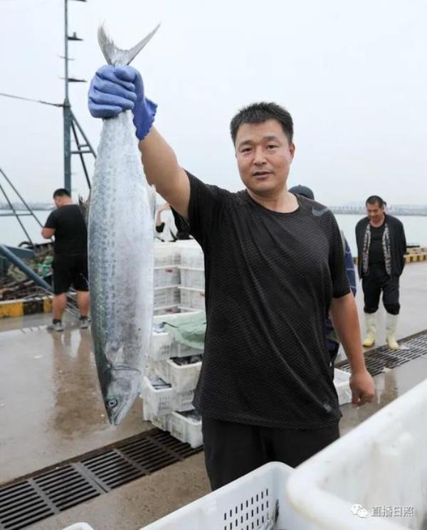 大河奔流蝰牙能钓刀鱼鲅鱼吗