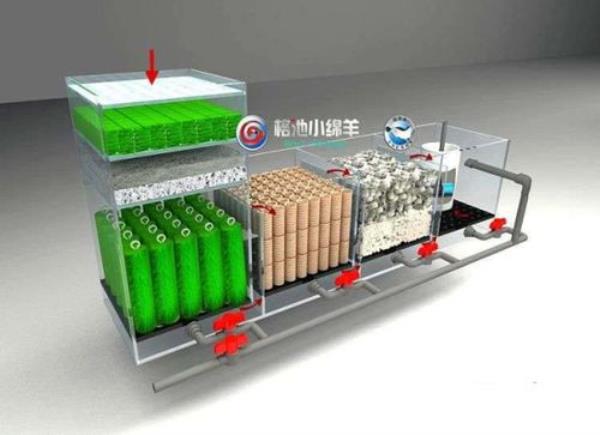 背滤鱼缸滤材正确摆放顺序淡水