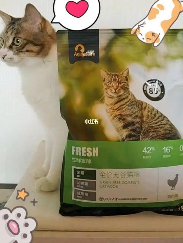 发酵猫粮和普通猫粮区别