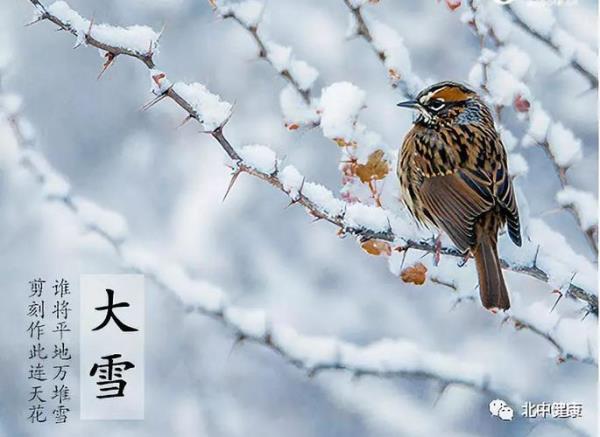 大雪节气歌朗诵开场白