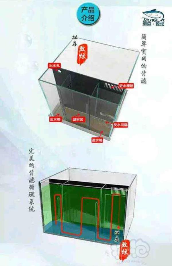 背滤鱼缸加水高度