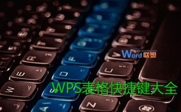 wps格式化快捷键