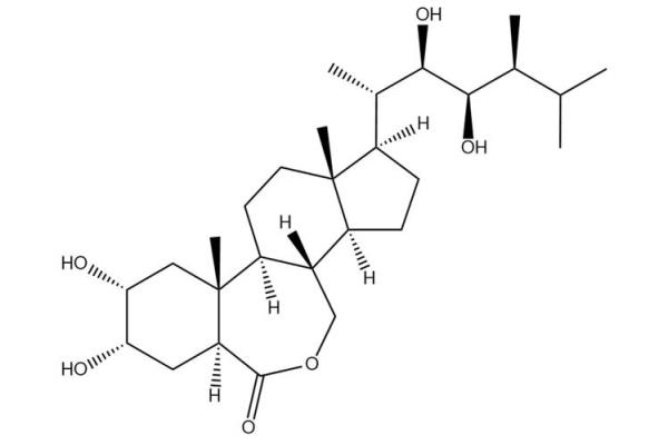 芸苔素的保质期