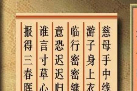 游子吟的主旨句