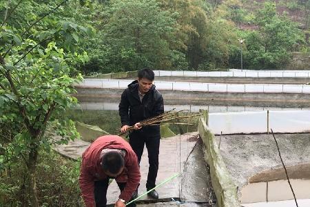 重庆大渡口钓小龙虾的地方