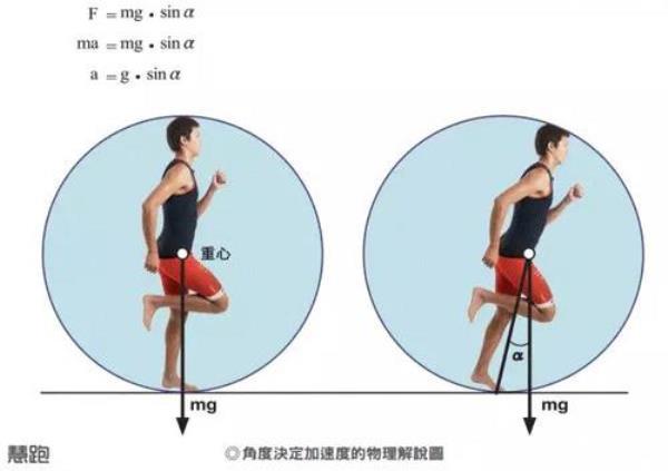 步频和步幅哪个是天生的