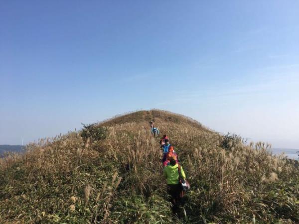 武功山上会有马蜂吗