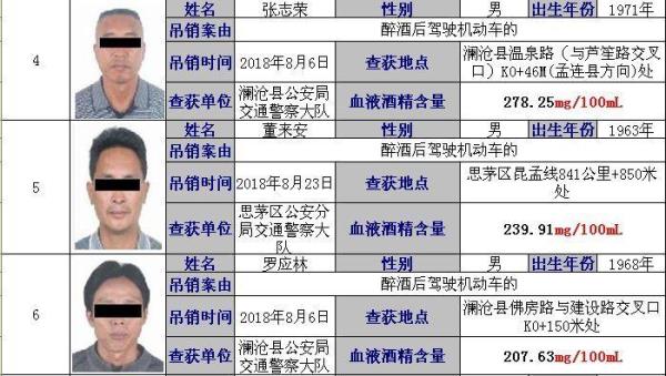 如何查询被执行人有驾驶证