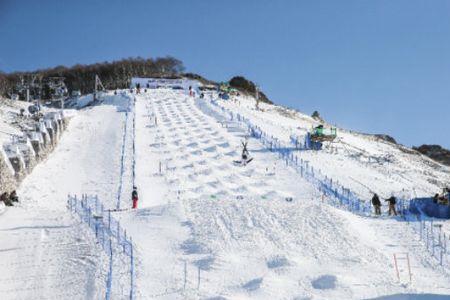 自由滑雪赛道是不是有问题