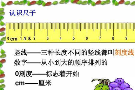 初中数学两条竖线什么符号