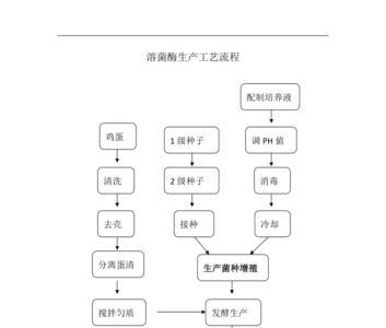 蛋白酶的生产工艺是怎样的