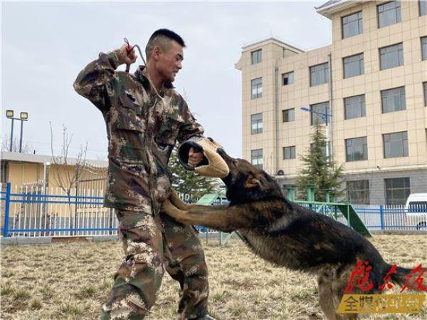 警犬训练员有没有前途