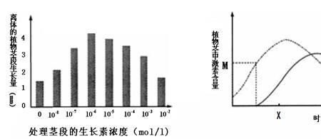 什么元素能抑制乙烯利的合成