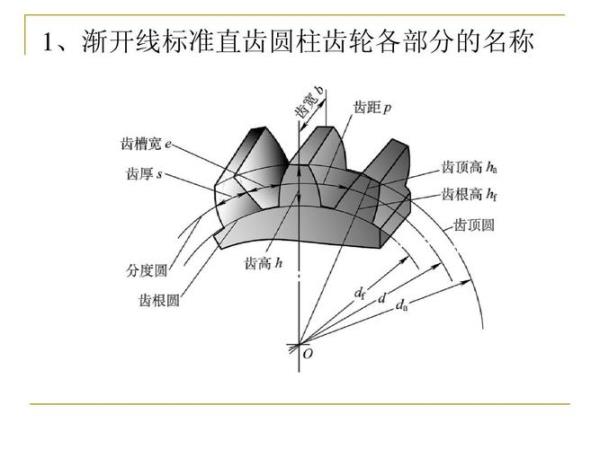 齿轮型号尺寸对照表