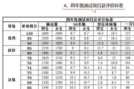 郑州商学院体测成绩怎么查