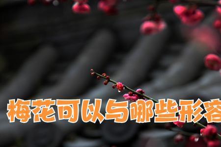 关于门的形容词你能想到多少