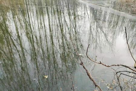 下雨天南风好钓鱼吗