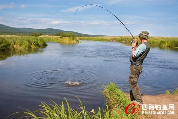 气压998北风四级适合钓鱼吗