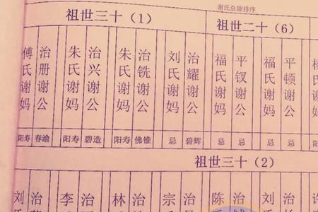 王家谱全部字辈