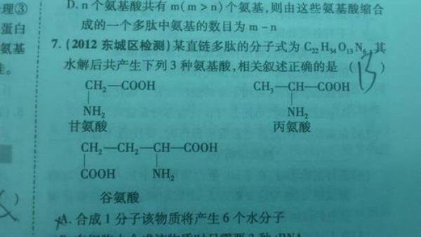 氨基酸水解方程式