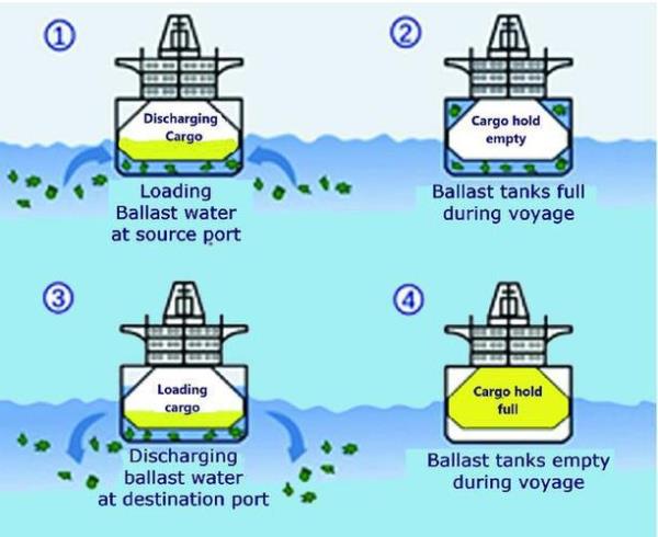 船舶为什么需要压载水
