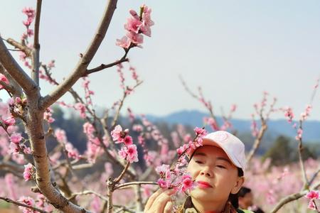 桃花人面分外红意思