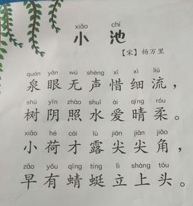 幼儿古诗小池