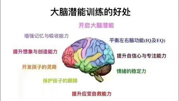 左脑思维擅长文科还是理科