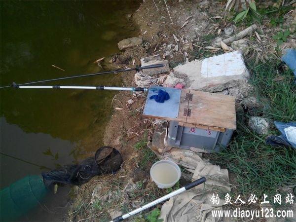 下雨天海竿鲢鳙在什么水层