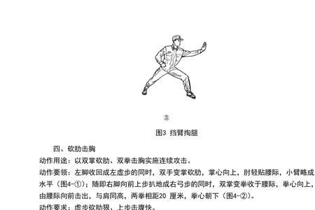 擒敌拳16动分解慢动作