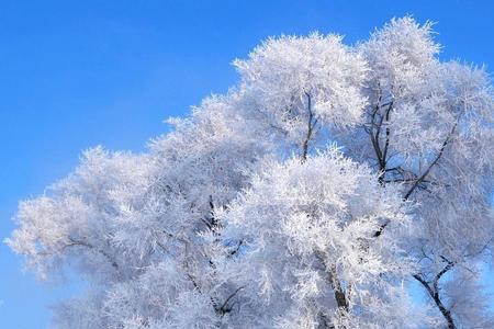 白雪歌送武判官归京平仄