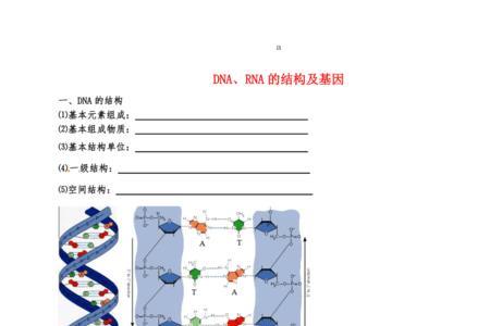 为什么DNA和RNA的提取方法不同