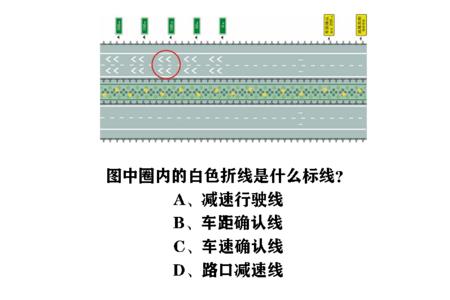 科目一纵向标有哪些