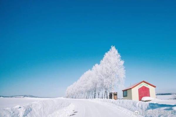 天空下起了大雪是什么歌